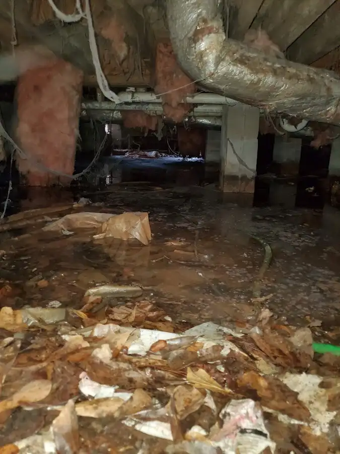 Crawl space flood assessment for Leak Detection & Repair in White City